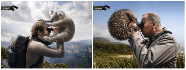 Как сделать привлекательный креатив в таргетированной рекламе: советы и примеры Как сделать привлекательный креатив в таргетированной рекламе: советы и примеры