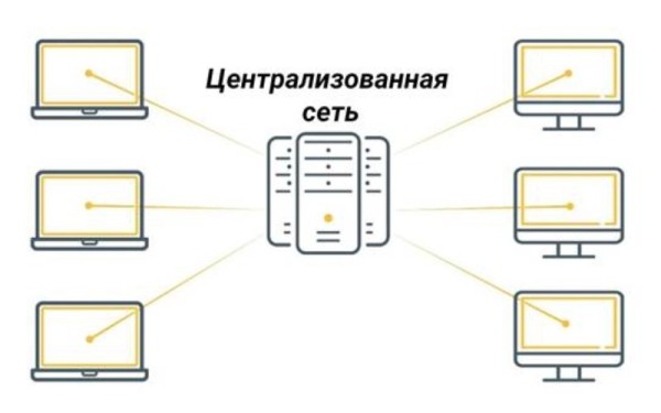 
            Децентрализованные и управляемые цифровые сети: ключевые отличия
        
