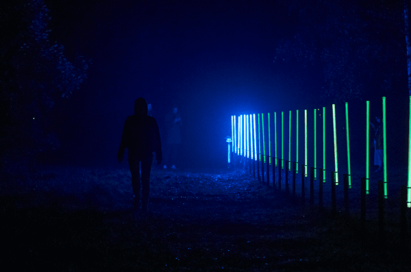 Привлечь, вовлечь, запомниться: в чем суть интерактивного дизайна