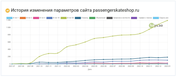 
            Как продвинуть региональный интернет-магазин оборудования для скейтбординга
        