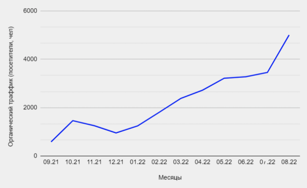 
            Как продвинуть региональный интернет-магазин оборудования для скейтбординга
        
