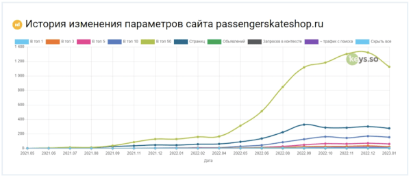 
            Как продвинуть региональный интернет-магазин оборудования для скейтбординга
        