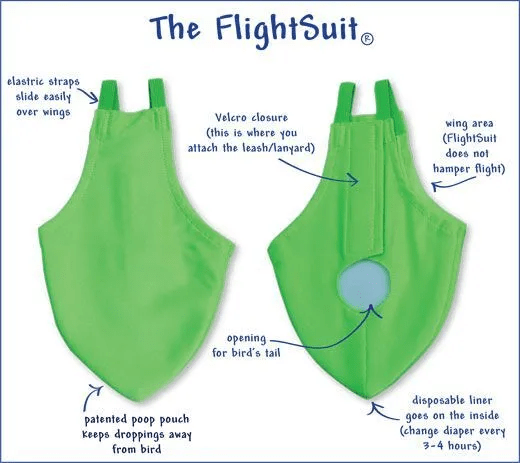 
            Как сэкономить 3 000 000 рублей на создании сайта
        