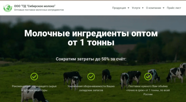 
            Как сэкономить 3 000 000 рублей на создании сайта
        