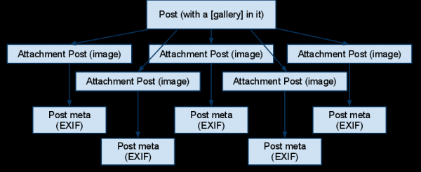 Фотогалерея в подробностях Фотогалерея в подробностях