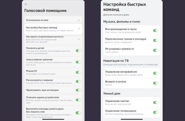 Алиса научилась понимать быстрые команды
Алиса научилась понимать быстрые команды