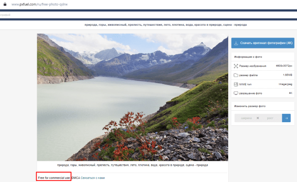 Между твоим бизнесом и банкротством – одна картинка