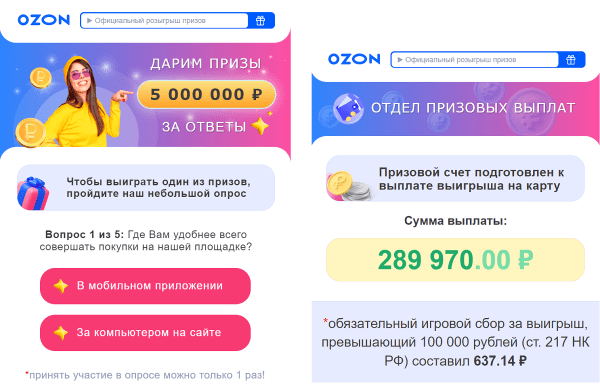 Ozon и F.A.C.C.T. назвали основные мошеннические схемы при онлайн-покупках